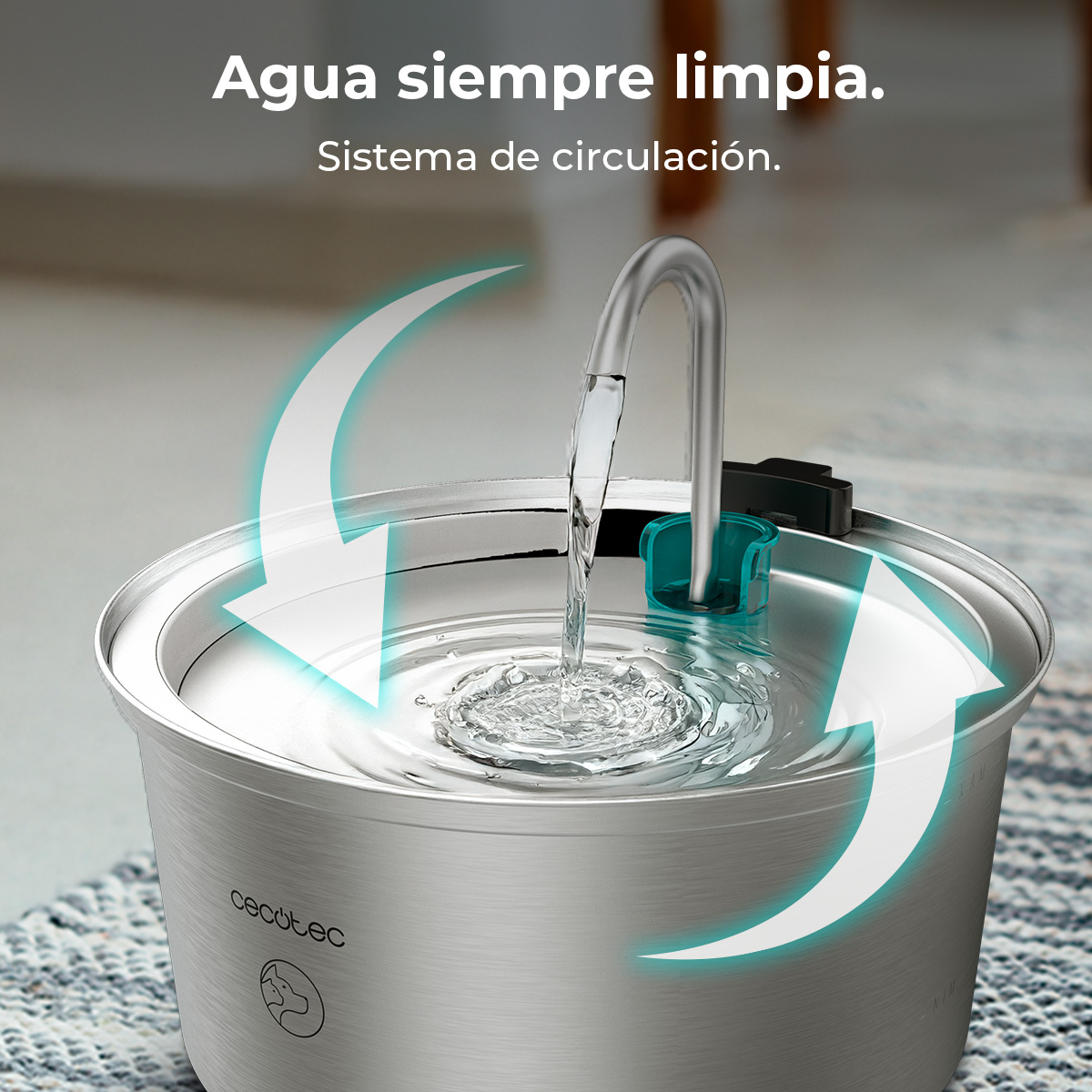 Una fuente de agua para mascotas. El agua fluye de un surtidor. Flechas muestran la circulación.