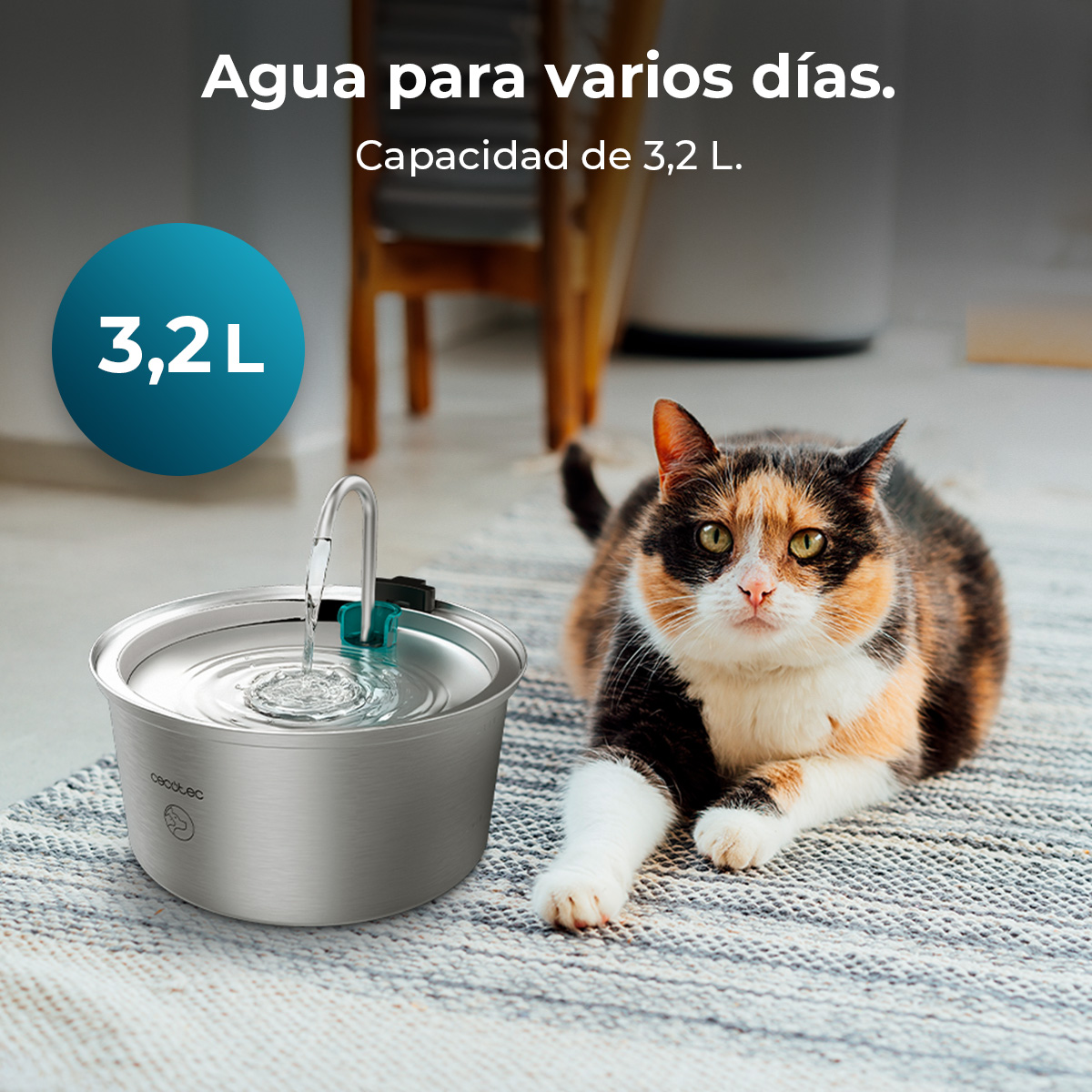 Un gato con una fuente de agua. La fuente tiene 3,2L de capacidad. El gato está tumbado.