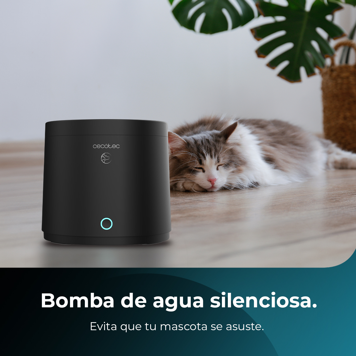 Un gato durmiendo junto a una fuente de agua negra. Texto: Bomba de agua silenciosa. Evita que tu mascota se asuste.