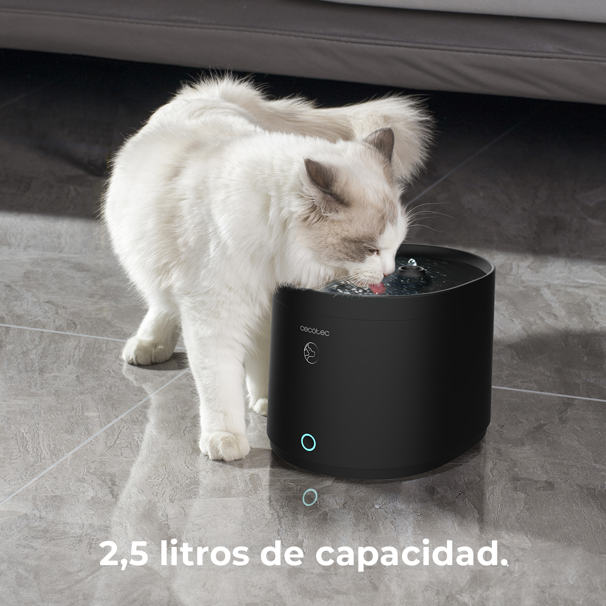 Un gato blanco bebiendo de una fuente de agua negra en interiores, con texto abajo.