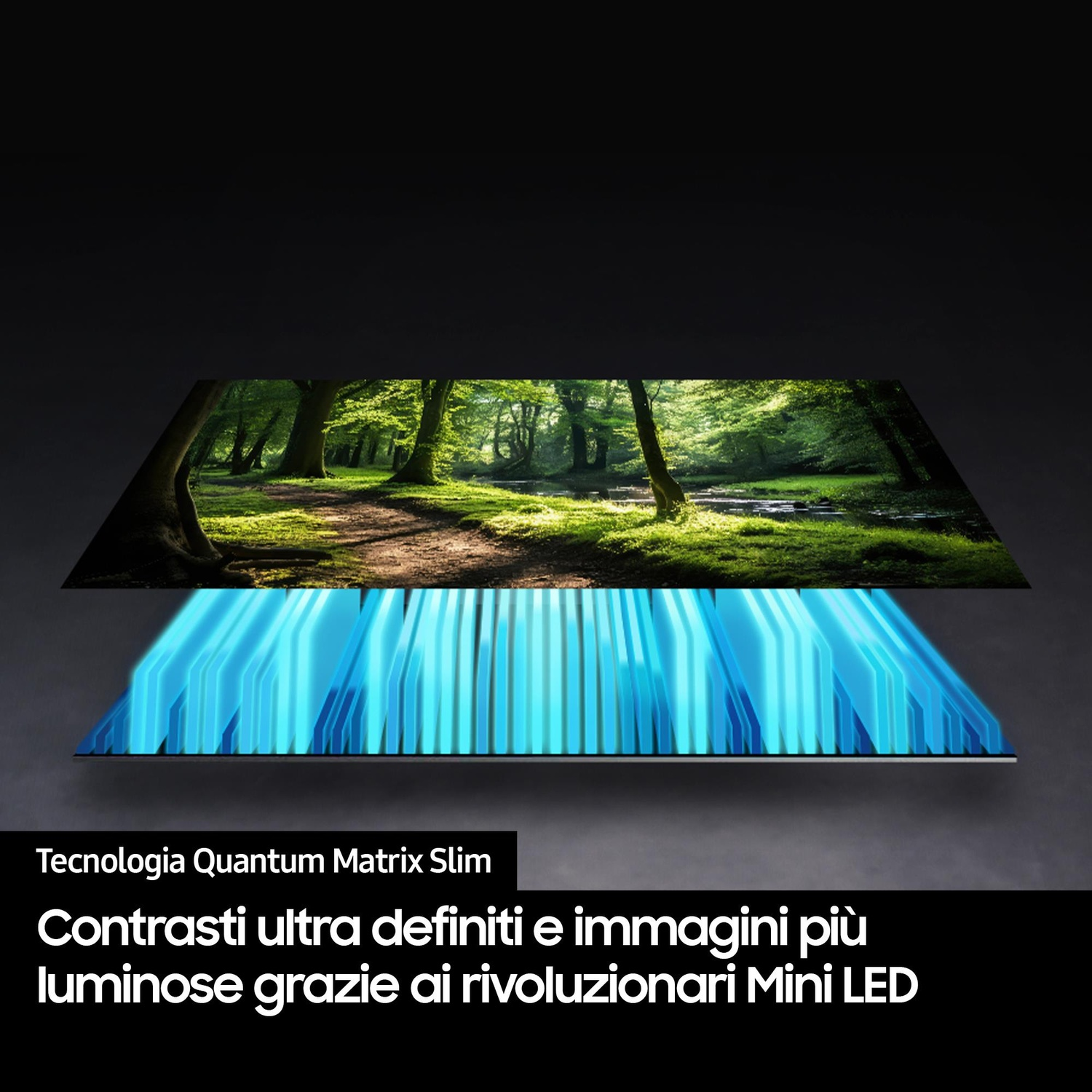 Schermo TV con scena forestale. Raggi di luce blu.
