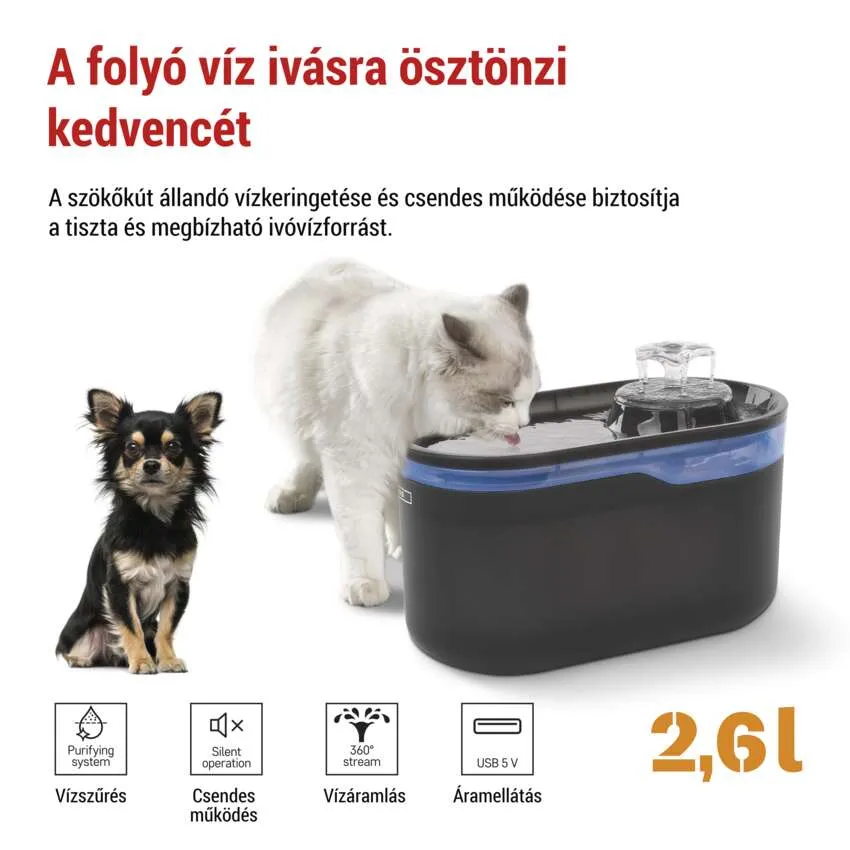 Fehér macska és kiskutya iszik egy vízadagolóból, szöveggel és ikonokkal a vízrendszerről.