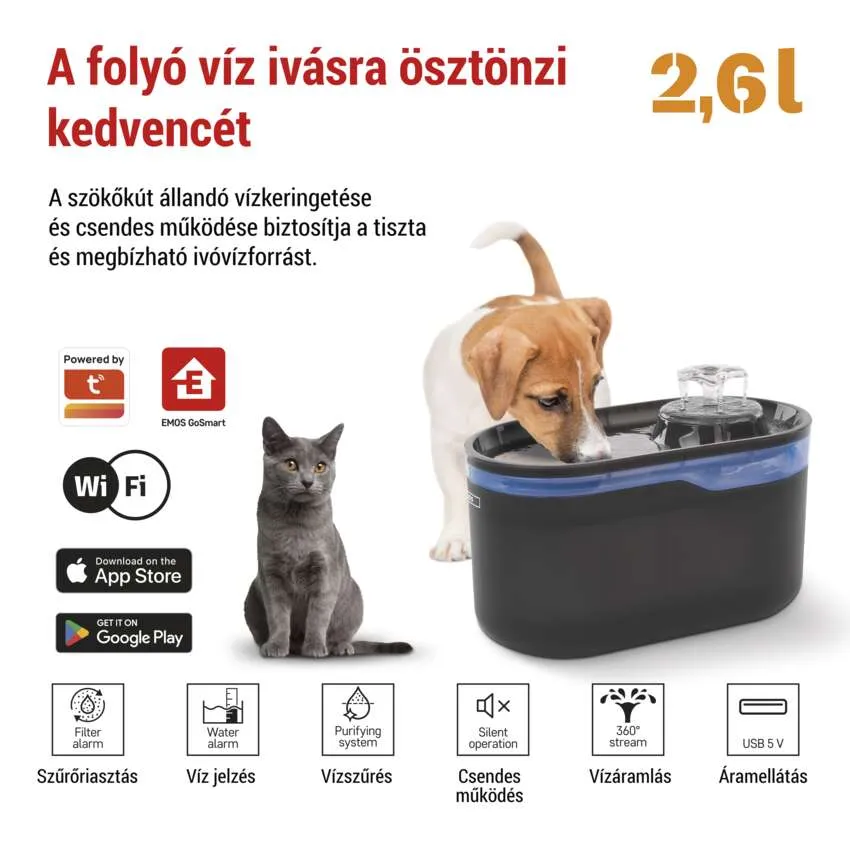Állati ivókút. Kutya és macska mellette.