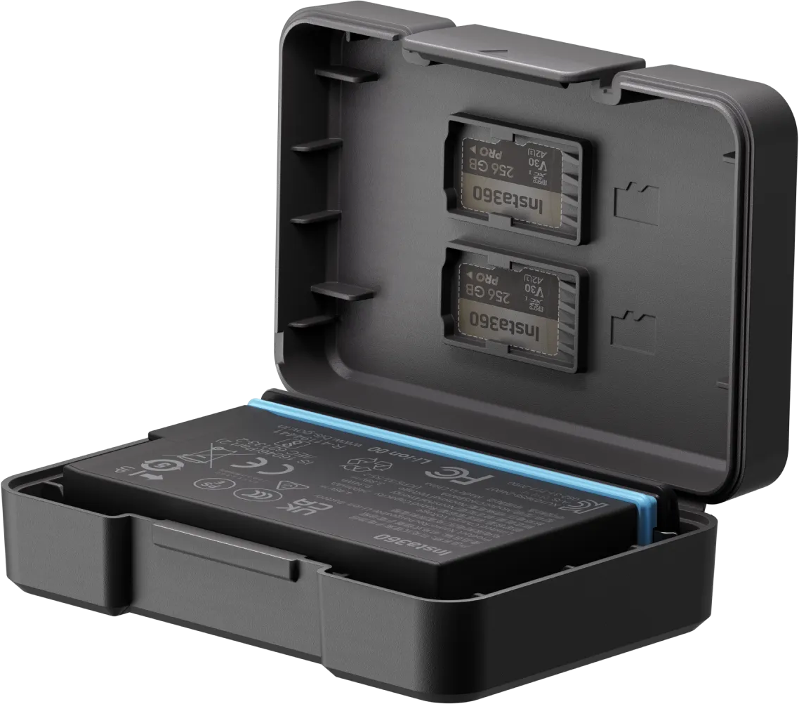 Un étui noir ouvert contenant deux cartes mémoire et une batterie.