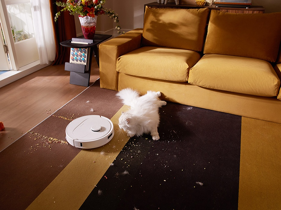 Biały odkurzacz robot i biały kot na brązowo-żółtym dywanie. Na dywanie jest brud.