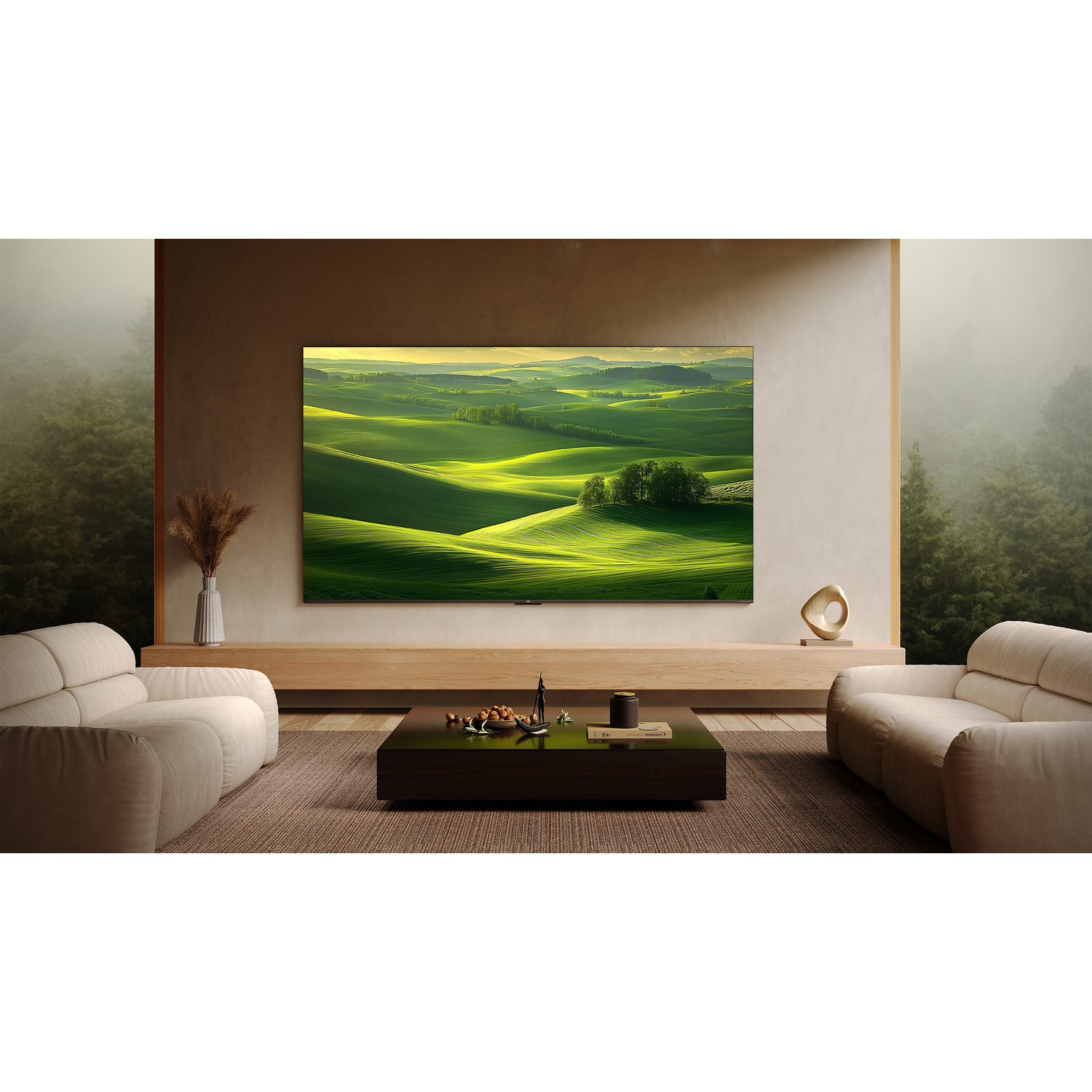 Interior shot with a TV on the wall, displaying a nature scene.