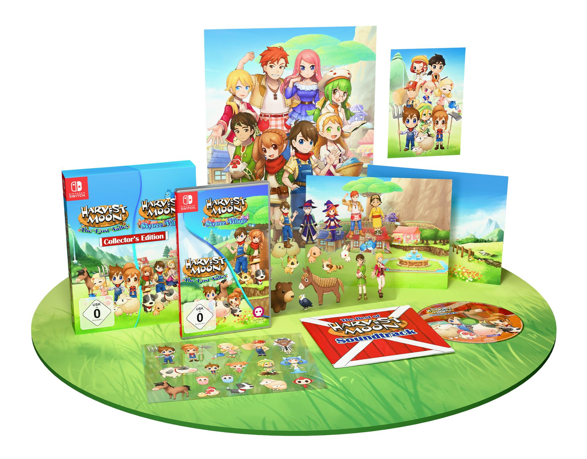 Ein Box-Set mit verschiedenen Gegenständen aus dem Spiel Harvest Moon.