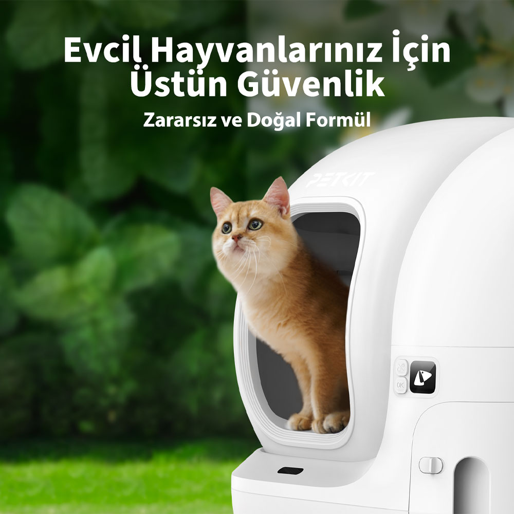 Kapalı bir kedi tuvaletinin içinde bir kedi. Kutu beyazdır ve dairesel bir açıklığa sahiptir.