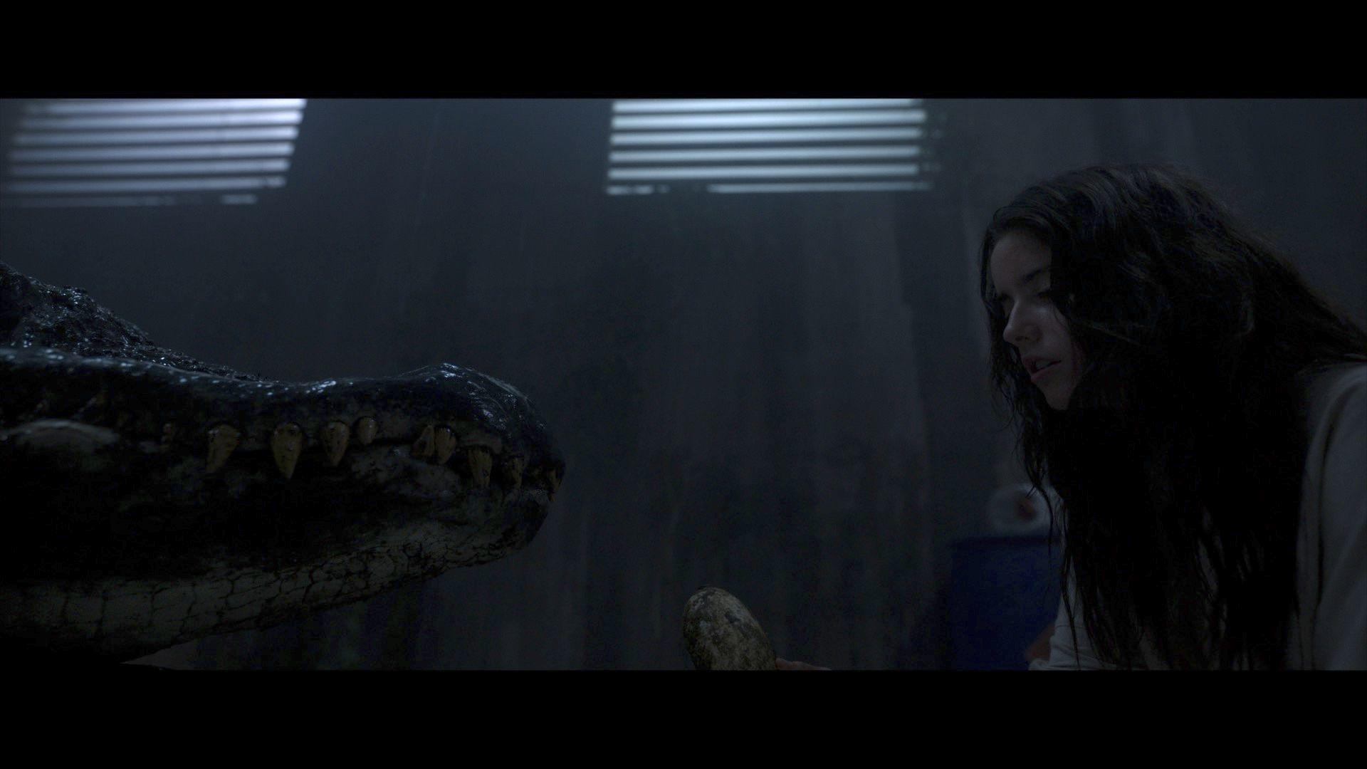 Eine Frau blickt auf ein Alligatormaul mit spitzen Zähnen.