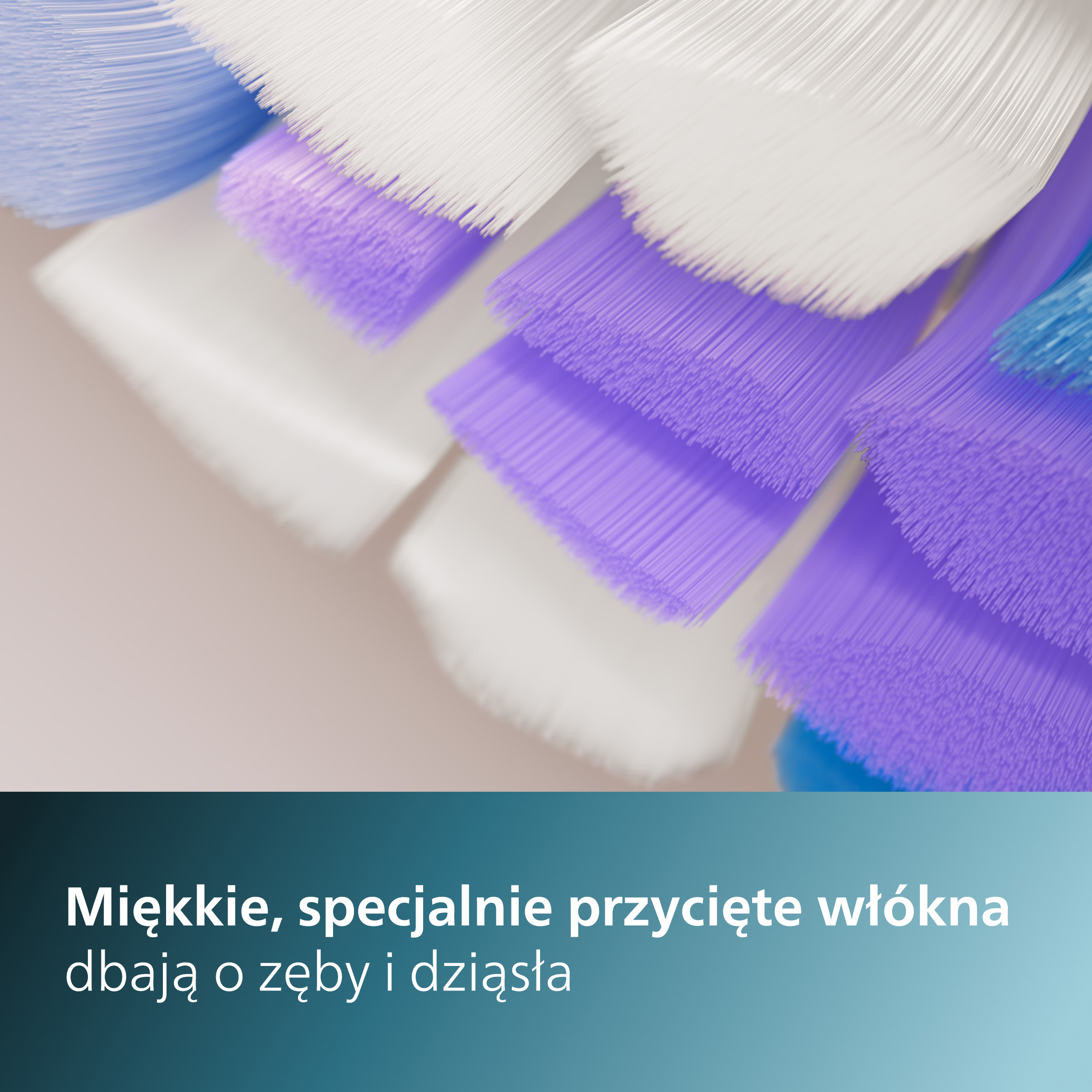 Zbliżenie włosia szczoteczki do zębów, białe i fioletowe. Tekst na dole.