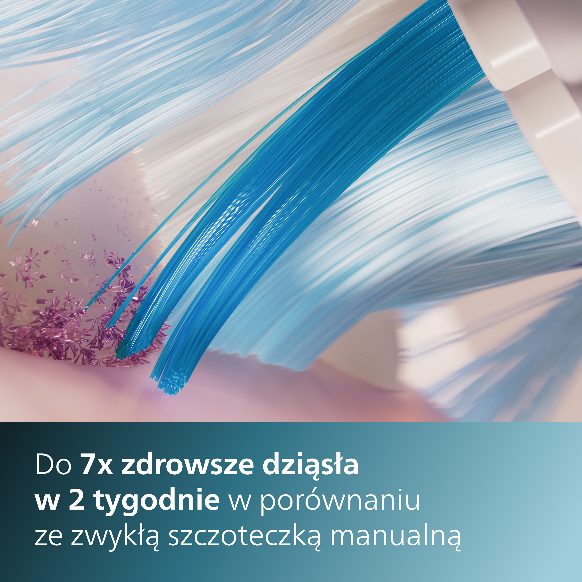 Zbliżenie na włosie szczoteczki do zębów. Niebieskie i białe włosie. Fioletowe plamki. Różowe tło.