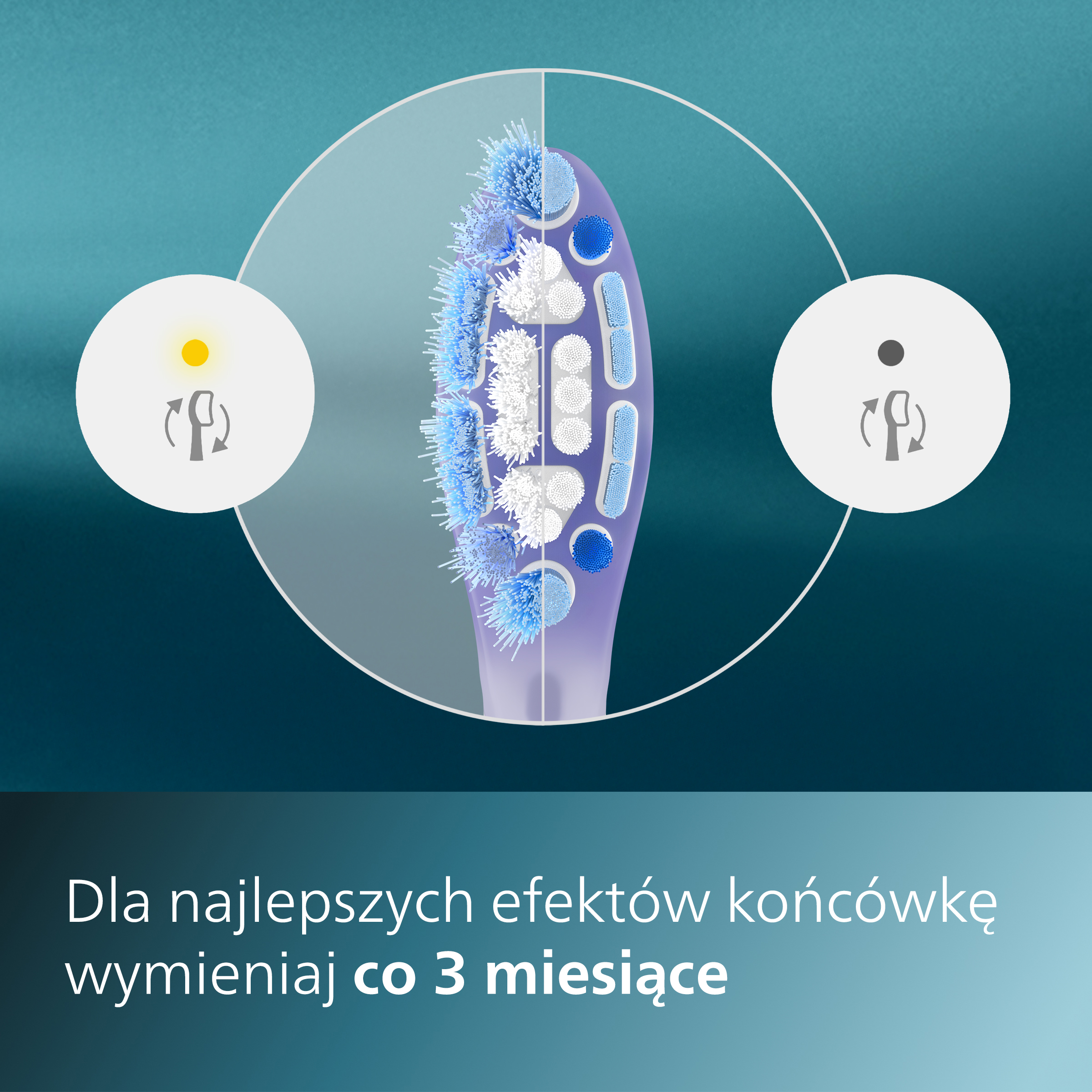 Zbliżenie główki szczoteczki do zębów z niebieskim i białym włosiem. Tekst: 'wymieniaj co 3 miesiące'.