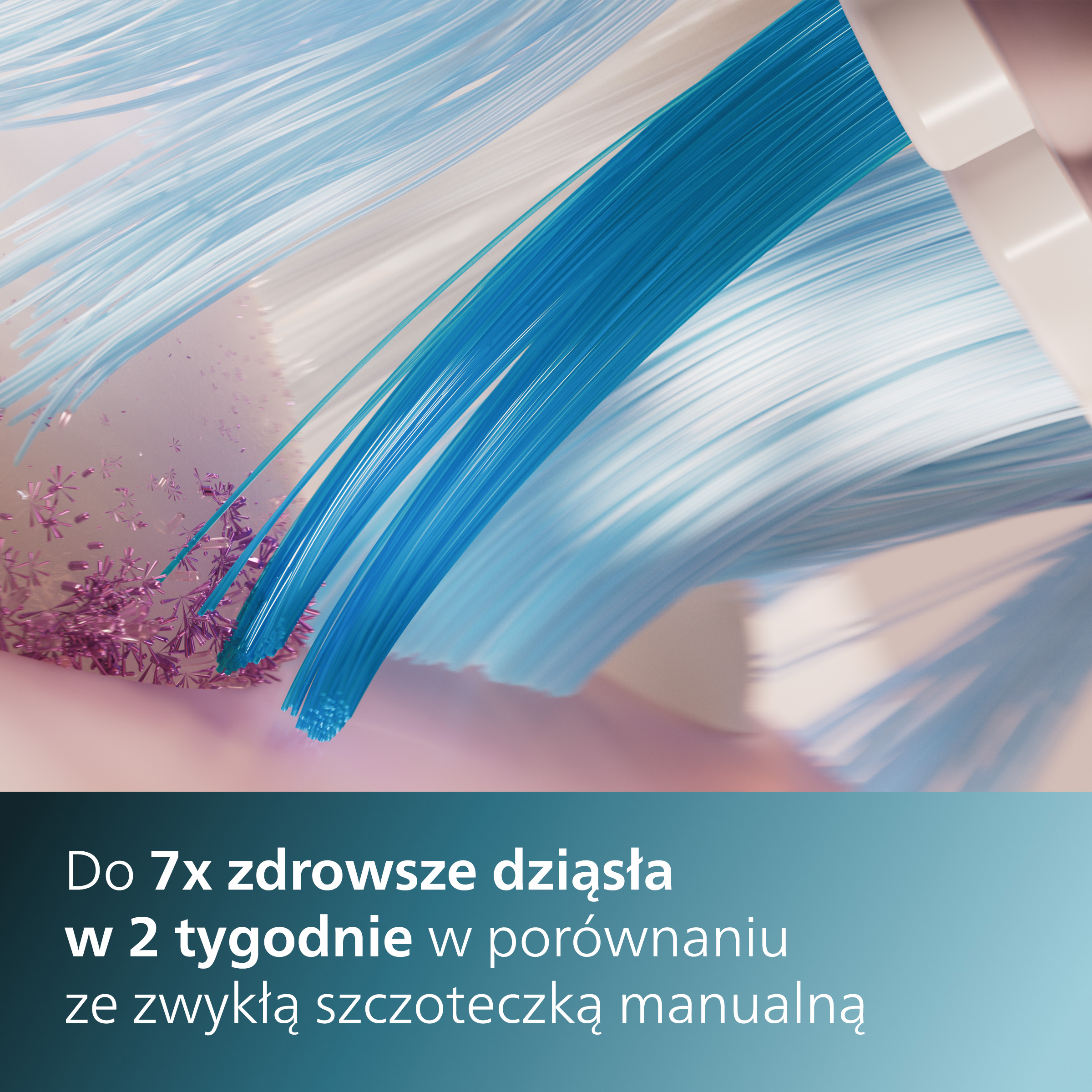 Zbliżenie niebieskich i białych włosia szczoteczki do zębów z tekstem o zdrowych dziąsłach.