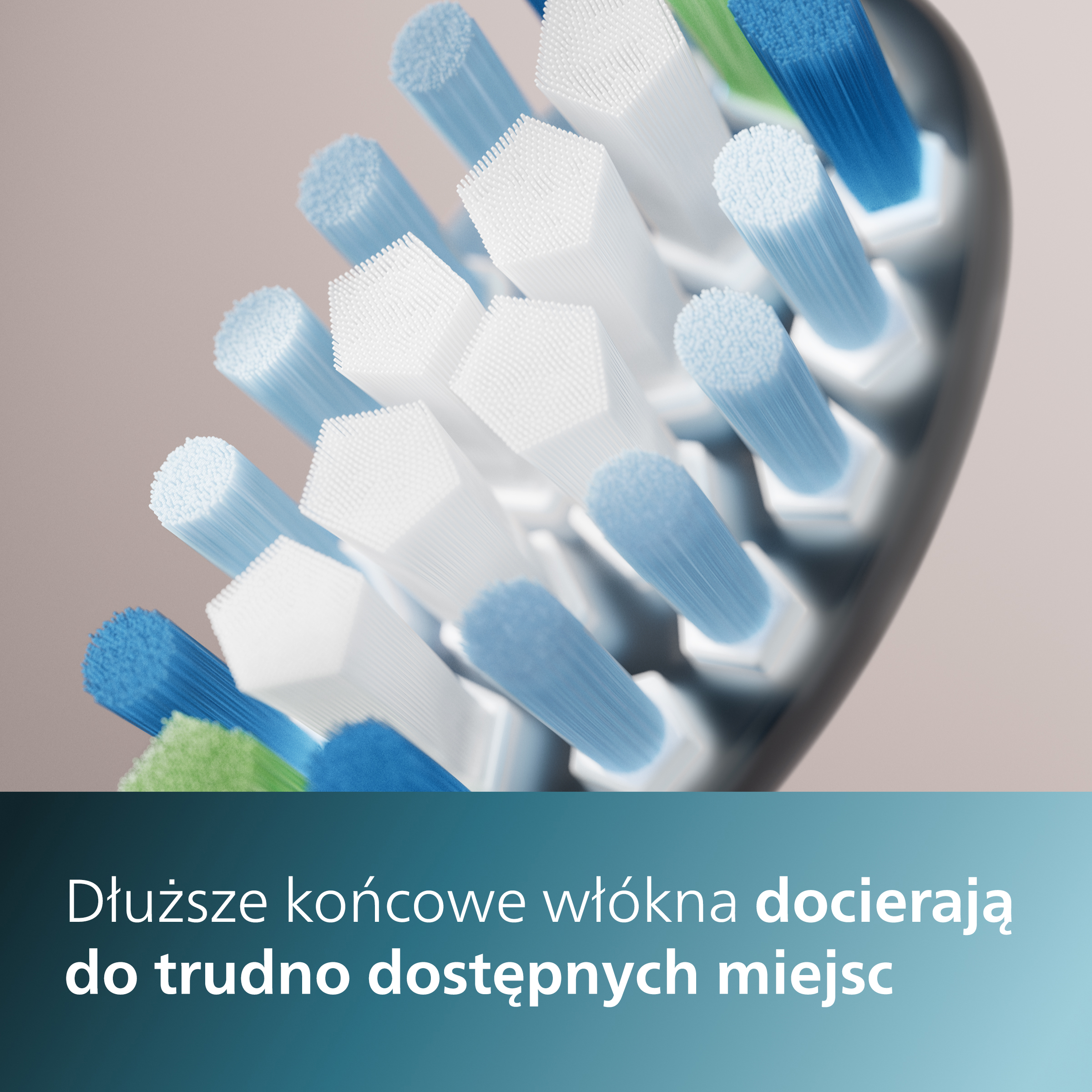 Zbliżenie na główkę szczoteczki do zębów z niebieskim, białym i zielonym włosiem. Tekst w języku polskim na dole.