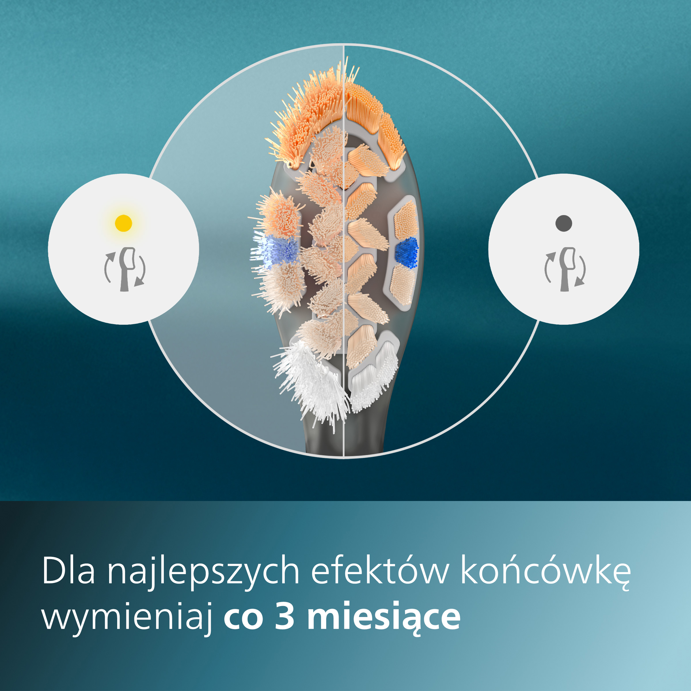 Zbliżenie główki szczoteczki do zębów z nowymi i zużytymi szczoteczkami.