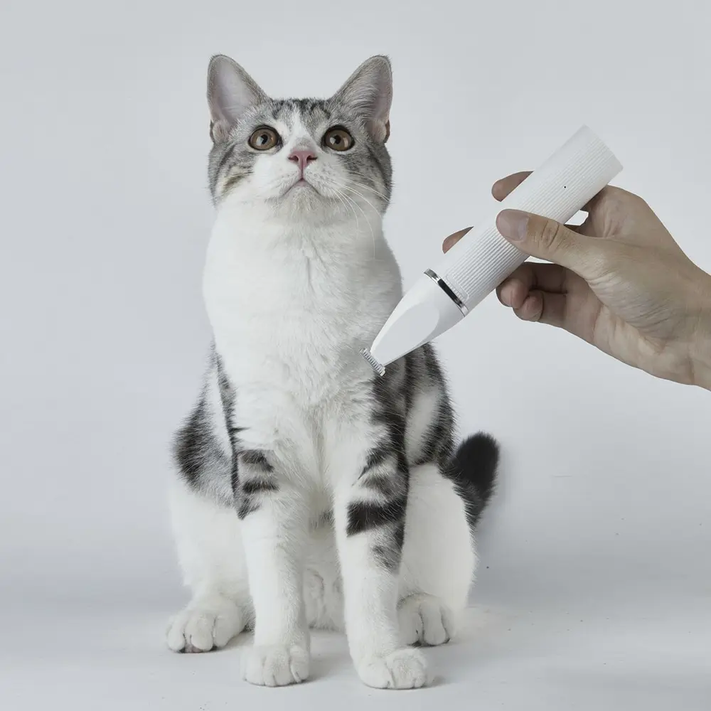 Un gatto viene toelettato con un trimmer bianco, tenuto dalla mano di una persona.