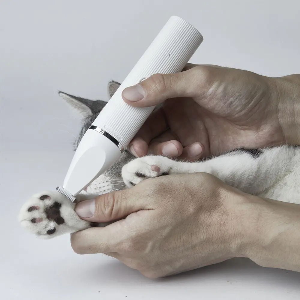 Persona che taglia la zampa di un gatto con un trimmer elettrico bianco. Gatto sdraiato su superficie bianca.