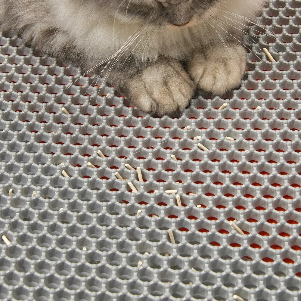 Pattes de chat sur tapis en nid d'abeille gris. Petits débris sur le tapis. Fourrure visible.