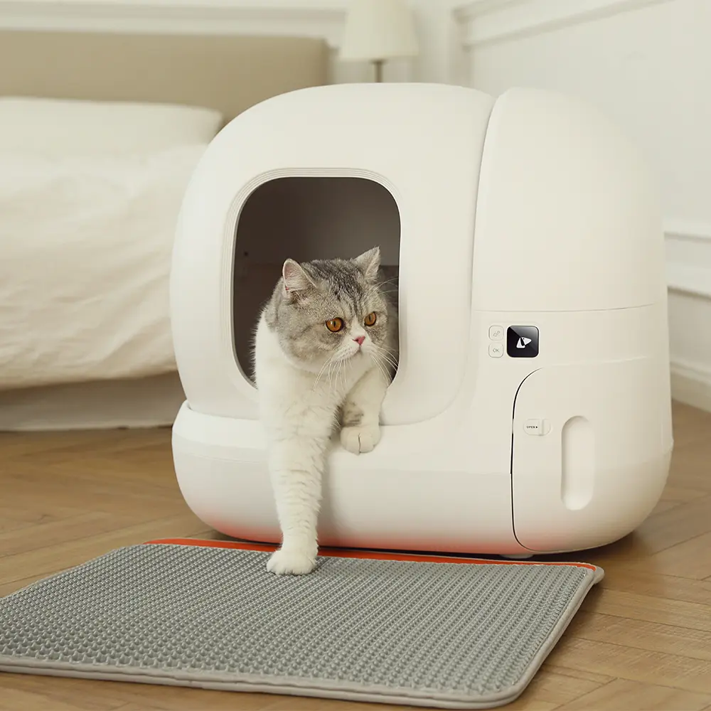 Un chat sortant d'un bac à litière blanc, avec un tapis gris devant.