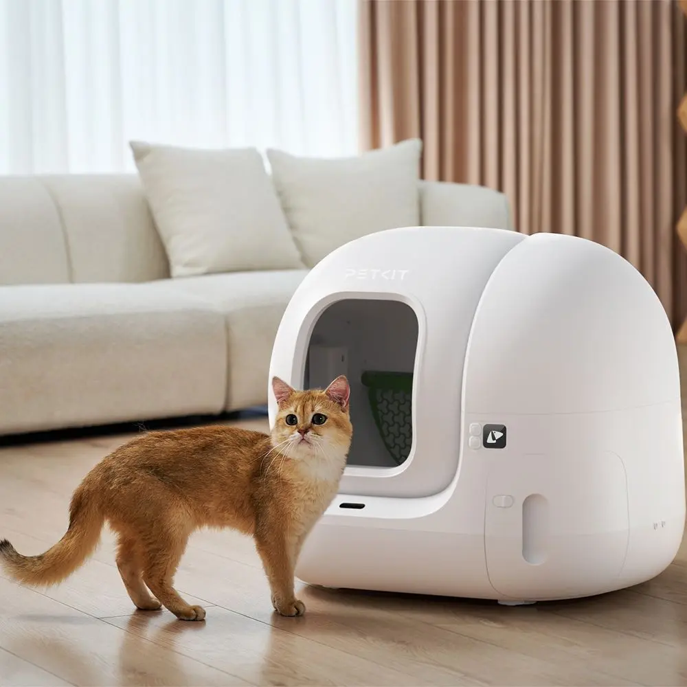 Un gatto dorato accanto a una lettiera automatica bianca in un soggiorno.