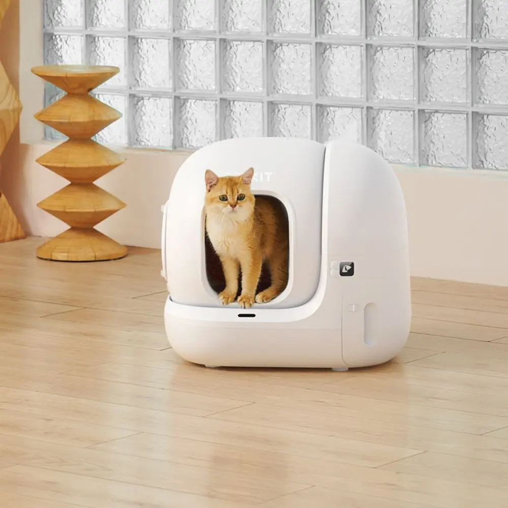 Un gatto seduto dentro una lettiera automatica bianca su un pavimento di legno.