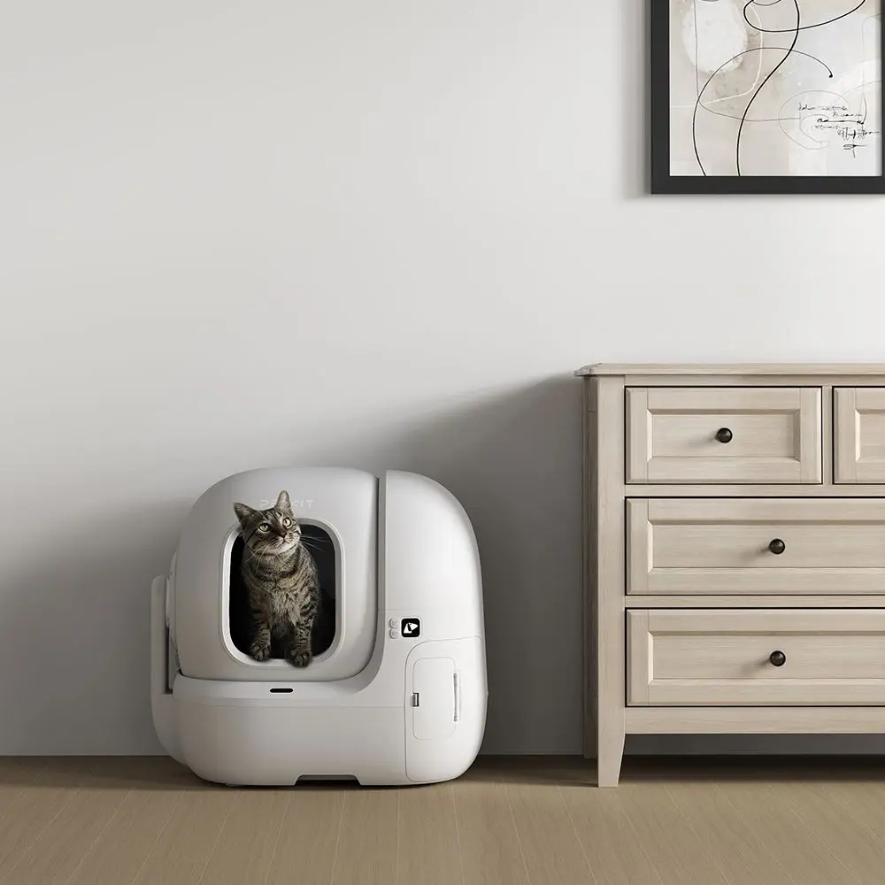 Chat dans un bac à litière autonettoyant blanc.