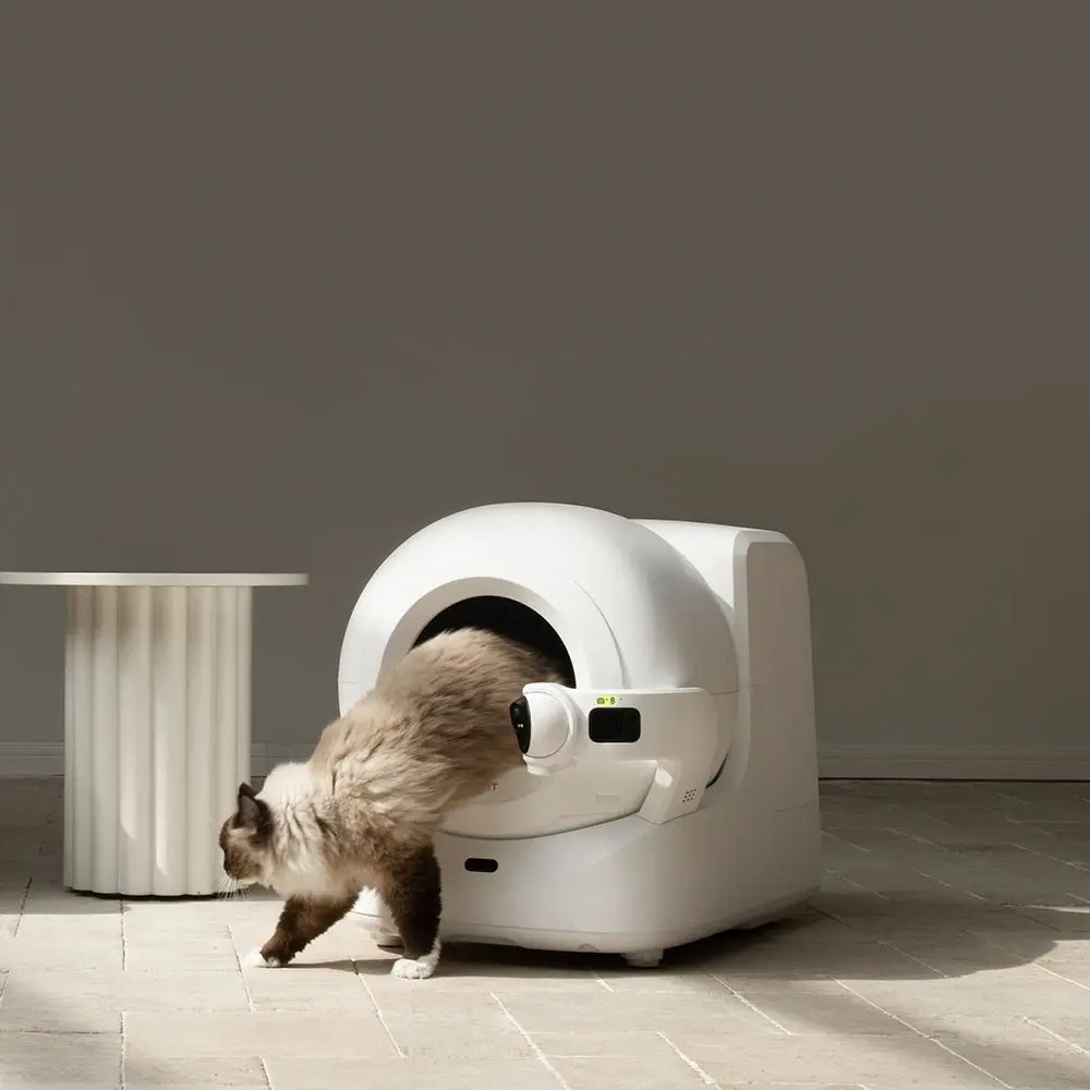 Gatto che entra in una lettiera automatica bianca. Il gatto è marrone e bianco.