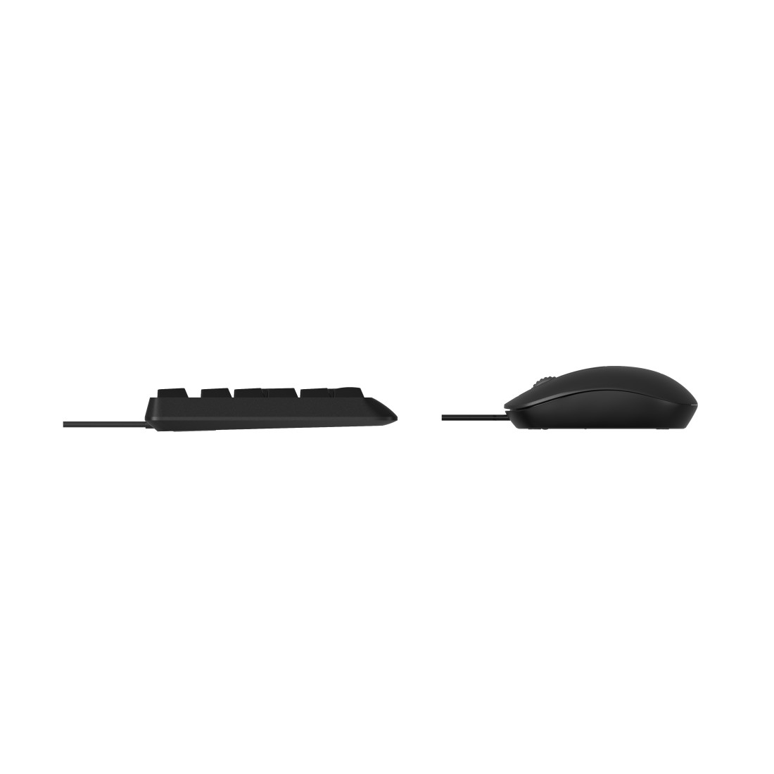 Eine schwarze Tastatur und Maus werden gezeigt. Die Tastatur ist flach und rechteckig, die Maus oval.