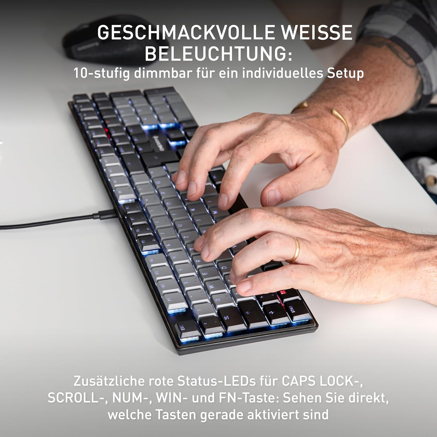 Hände benutzen eine mechanische Tastatur mit blauer Beleuchtung. Der Text betont die Beleuchtungsmerkmale.