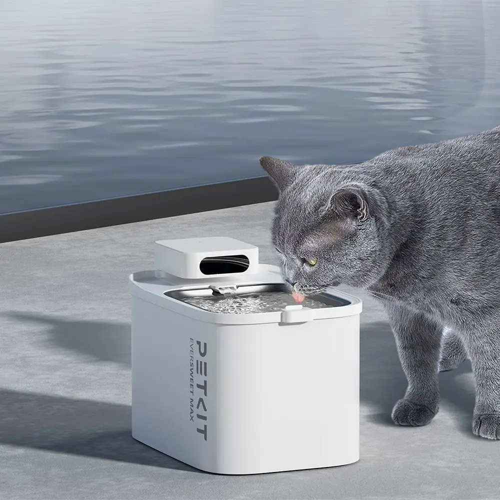 Gatto grigio beve da una fontana d'acqua bianca e argento