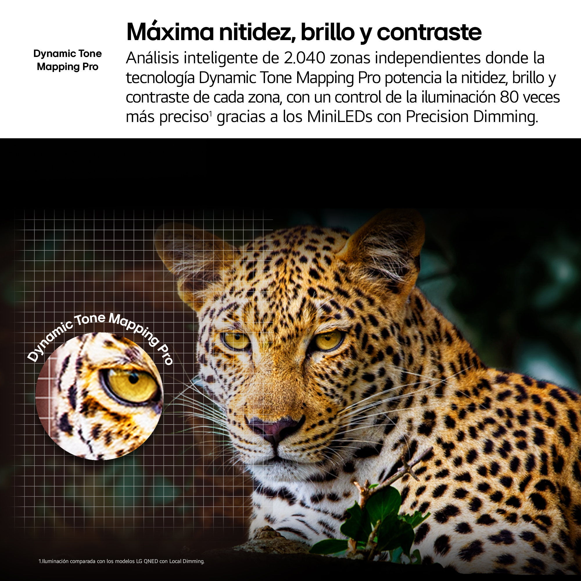 Primer plano de la cara de un leopardo con superposición de texto. Destaca la tecnología Dynamic Tone Mapping Pro.