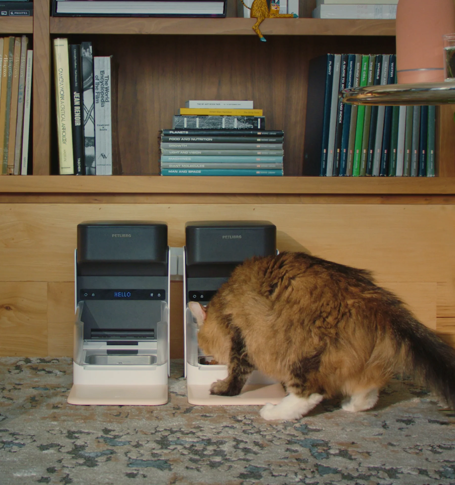 Eine Katze frisst aus einem Petlibro-Futterautomaten, Hintergrund ist ein Bücherregal.