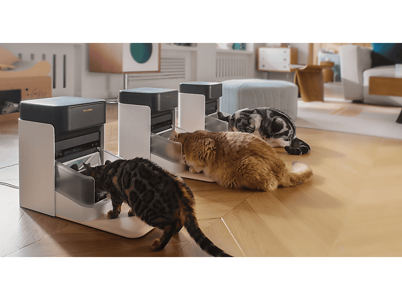 Petlibro One RFID mit Halsbanderkennung, Futterspender — Foto 3 von 4