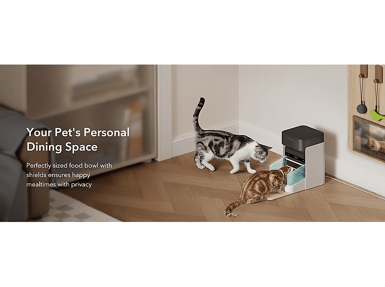 Petlibro One RFID mit Halsbanderkennung, Futterspender — Foto 4 von 4