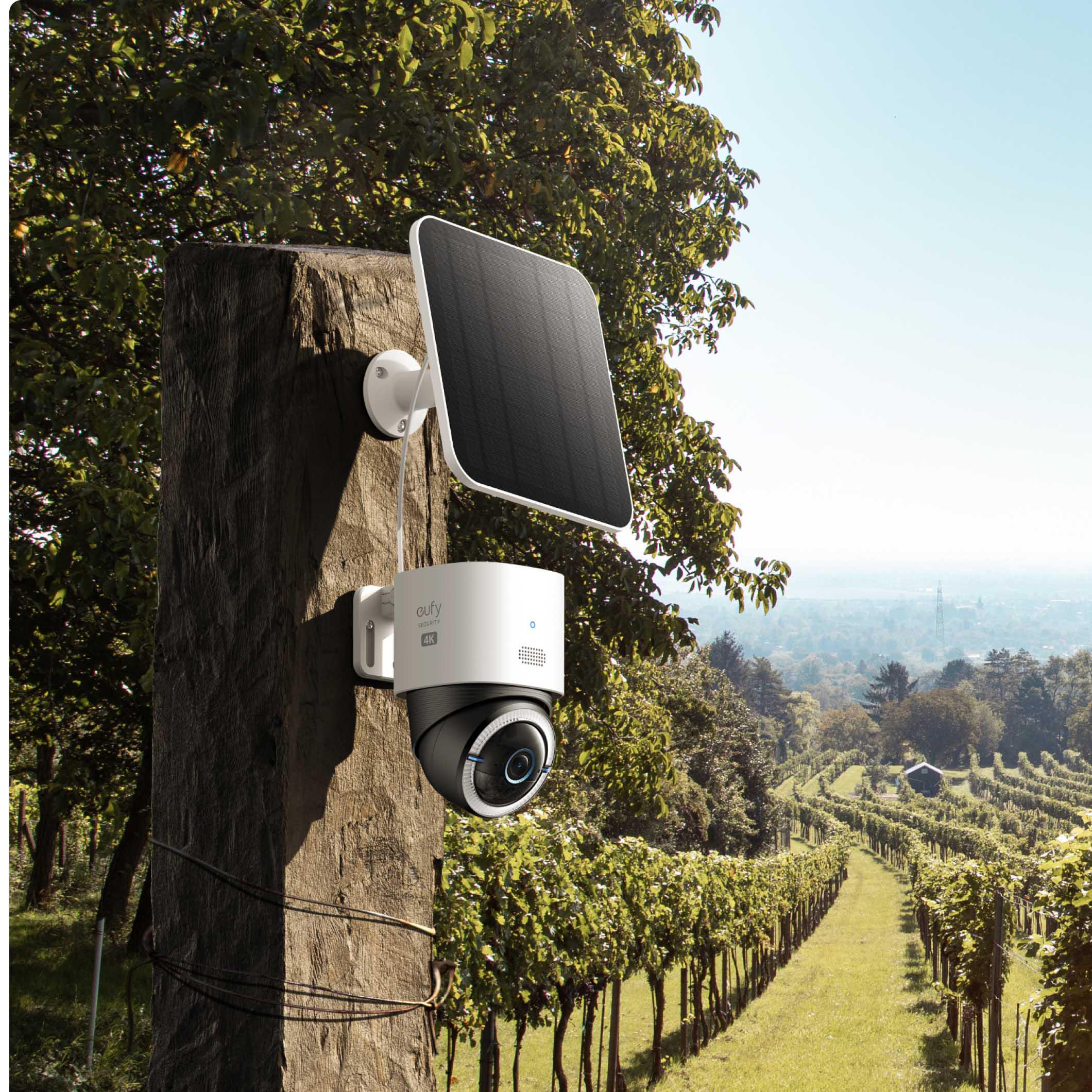 Kamera und Solarpanel an einem Baum. Weinberg im Hintergrund, blauer Himmel.