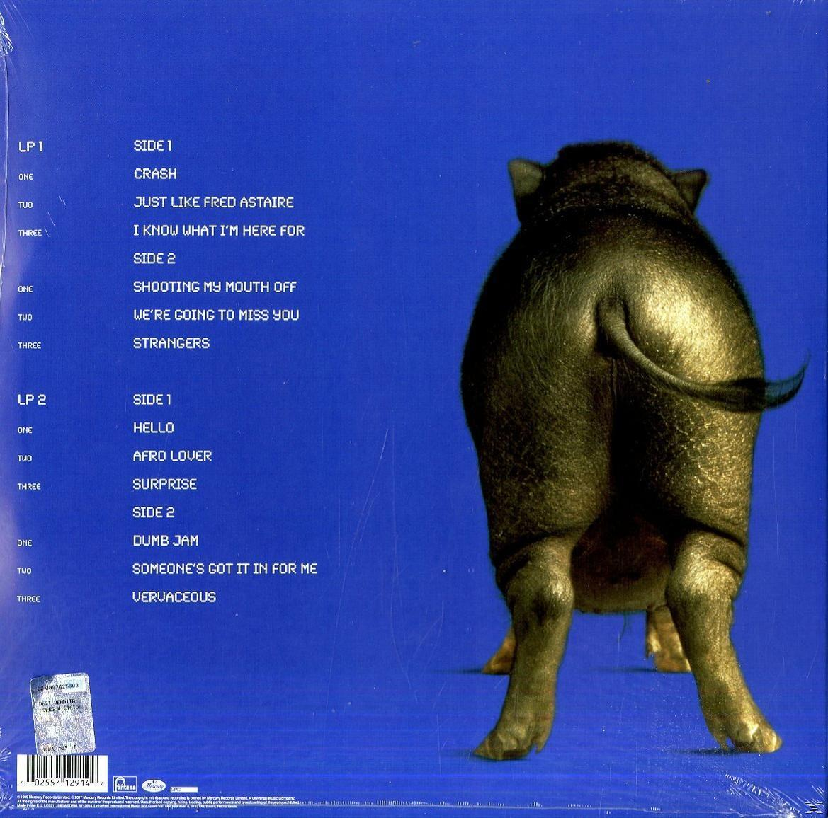 R&uuml;ckseite eines Albums mit einer Schweiner&uuml;ckansicht und Songtiteln auf blauem Hintergrund.