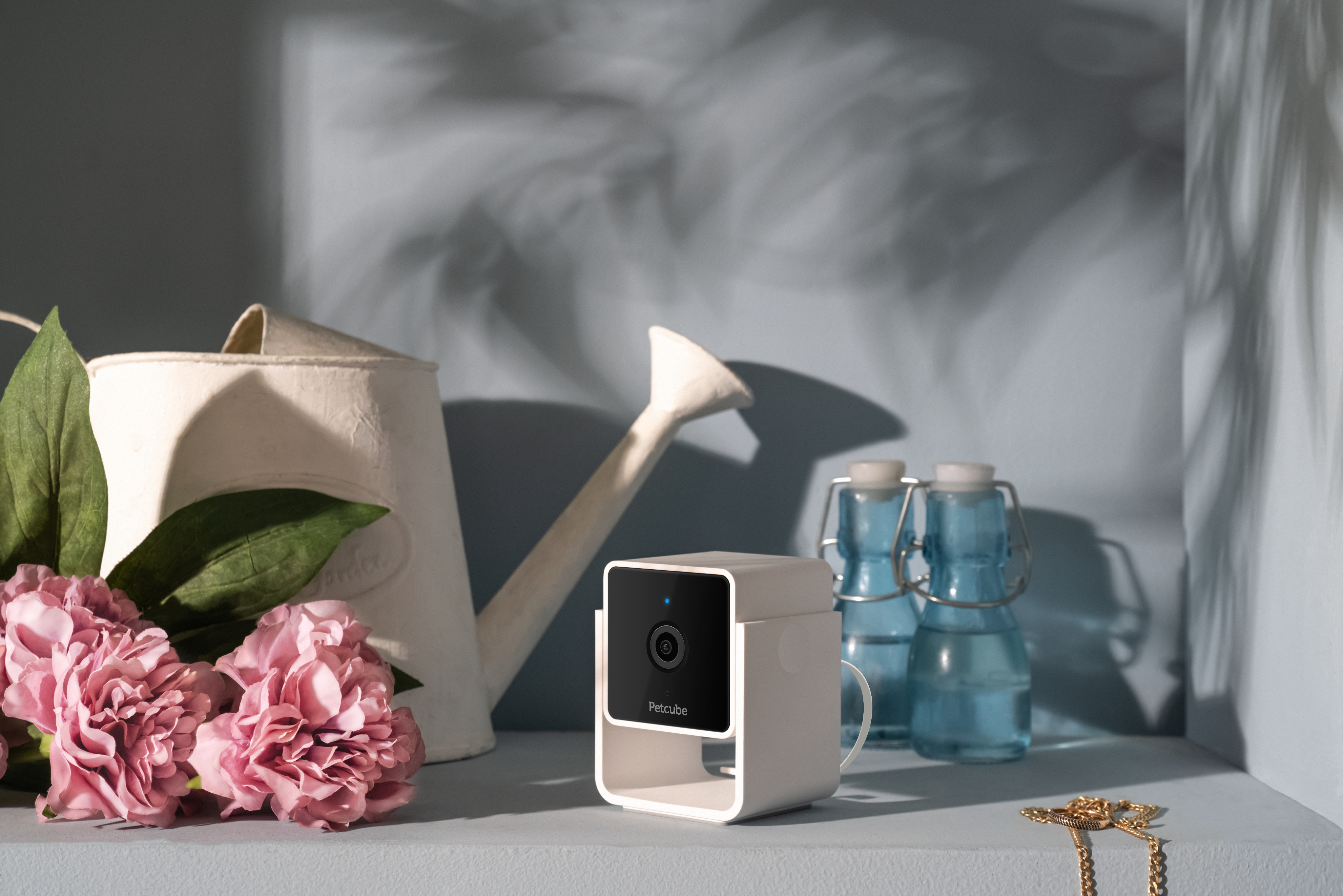 Einrichtung mit einer Petcube-Kamera, einer Gießkanne, Blumen und blauen Flaschen auf einem Regal.