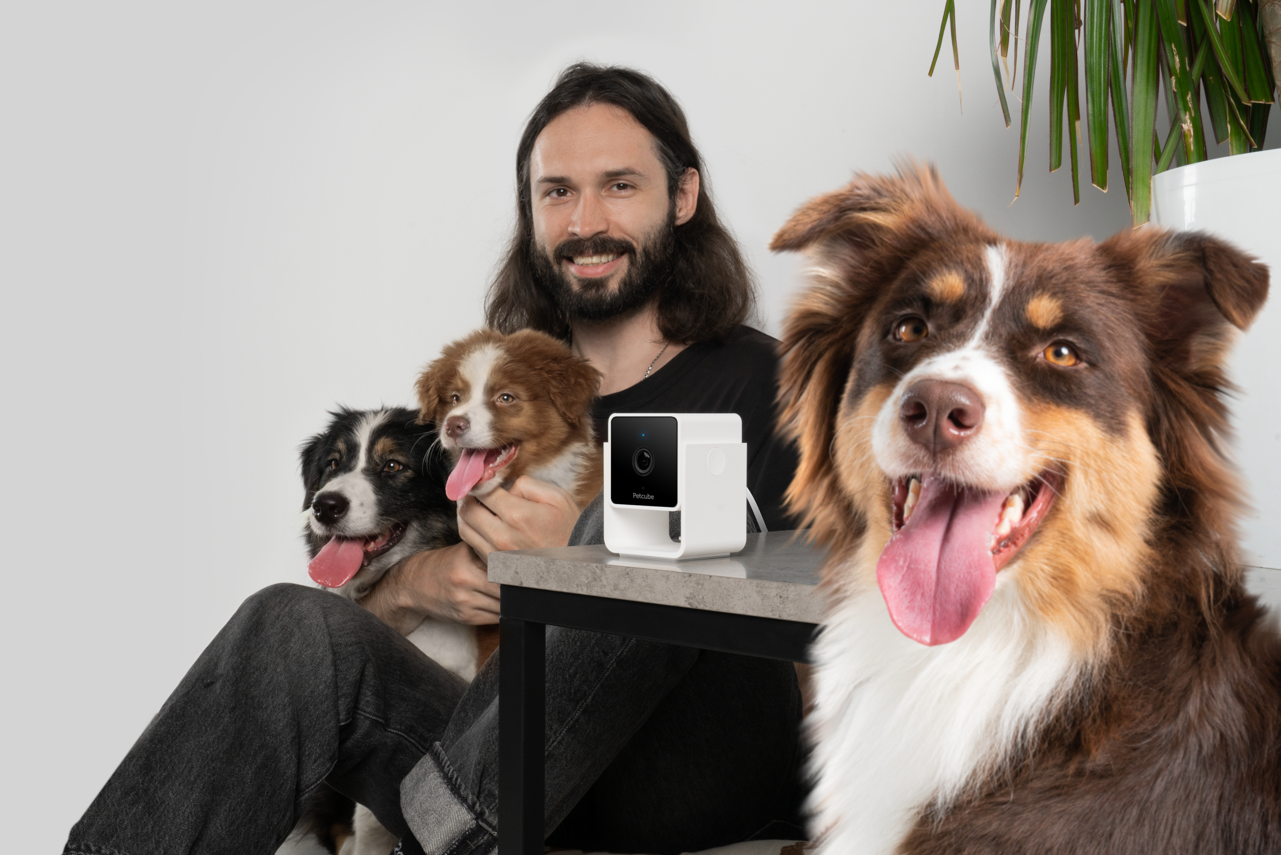 Ein Mann sitzt mit drei Hunden und einer Petcube-Kamera vor einem weißen Hintergrund.