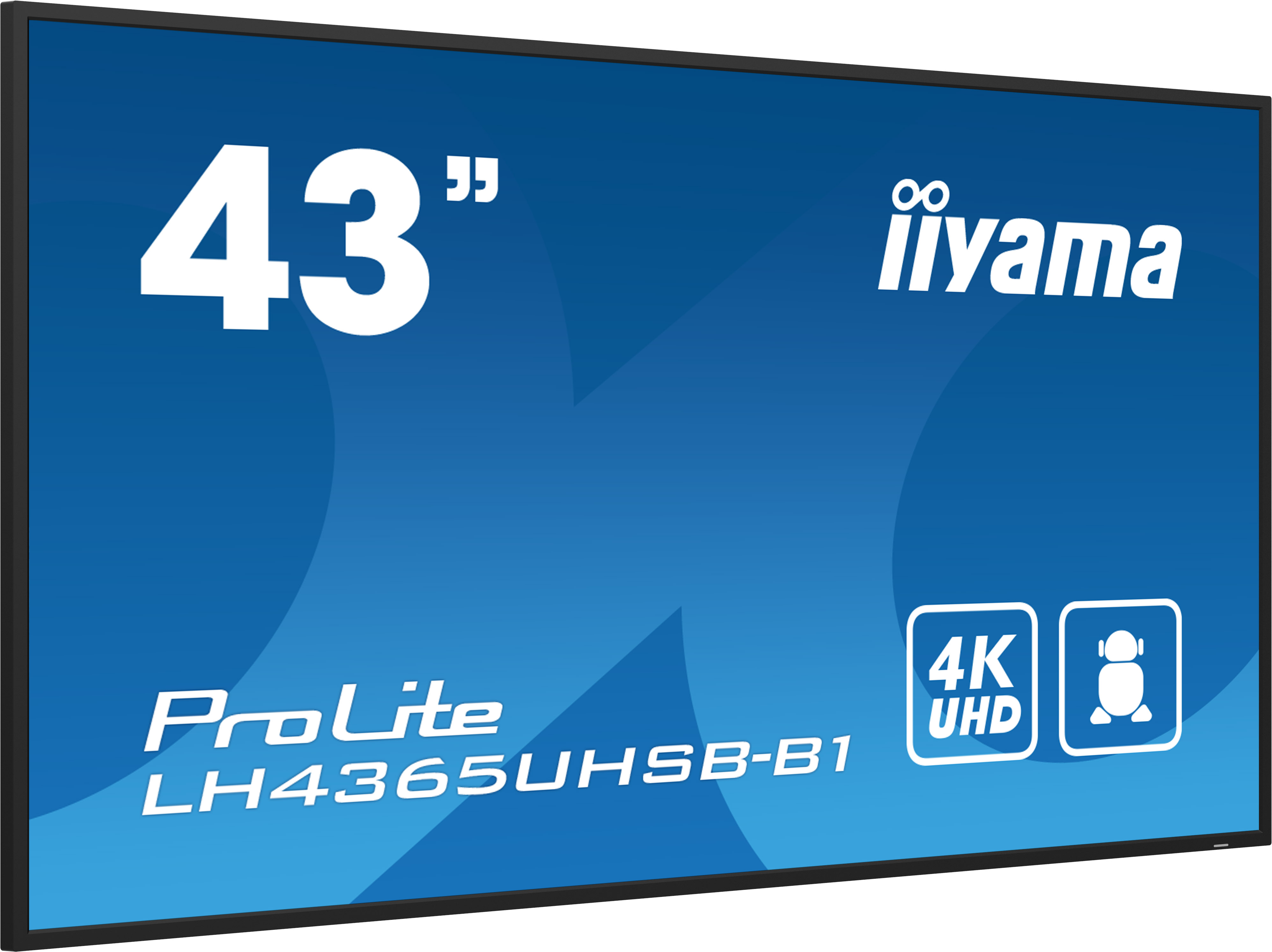 Ein 43-Zoll-Iiyama ProLite LH4365UHSB-B1 4K UHD-Display mit schwarzem Rahmen.