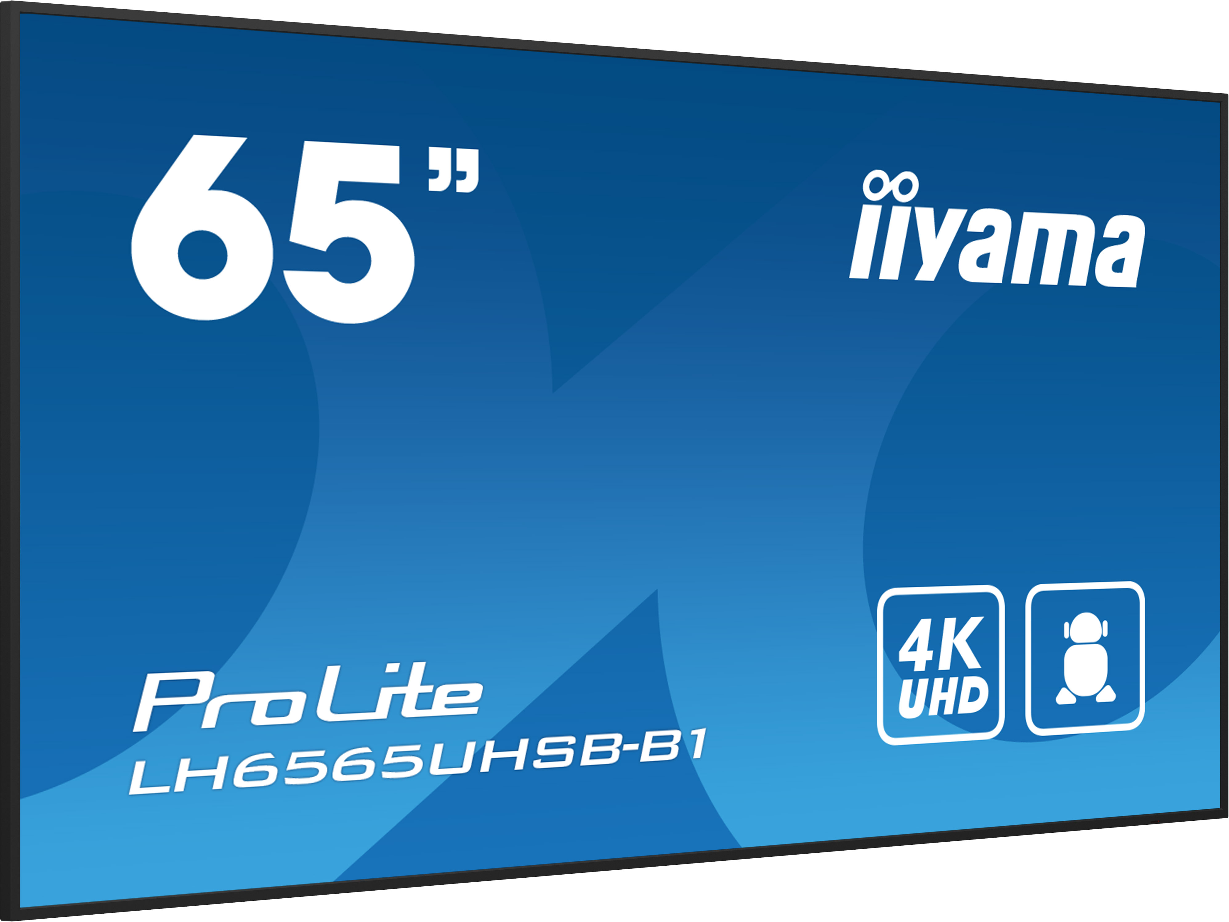 Ein 65-Zoll-Iiyama ProLite LH6565UHSB-B1 4K UHD-Display mit schwarzem Rahmen vor blauem Hintergrund.