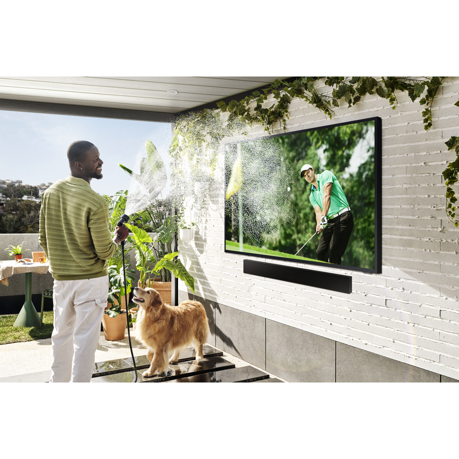 A man waters plants by a TV showing golf, while a dog watches.
