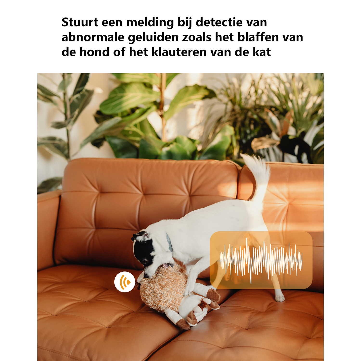 A white dog plays with a stuffed animal on a brown leather sofa in front of plants.
