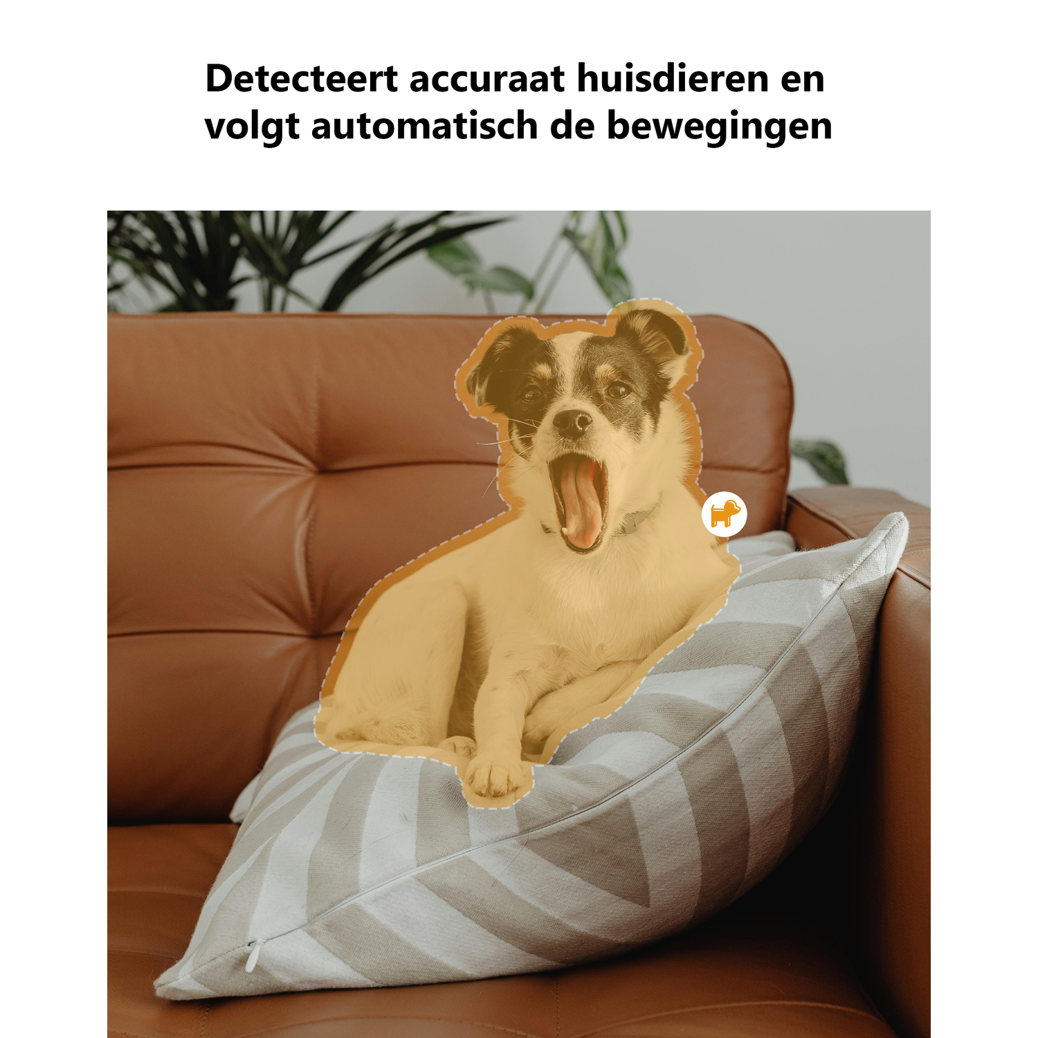 A yawning dog rests on a pillow on a brown sofa.