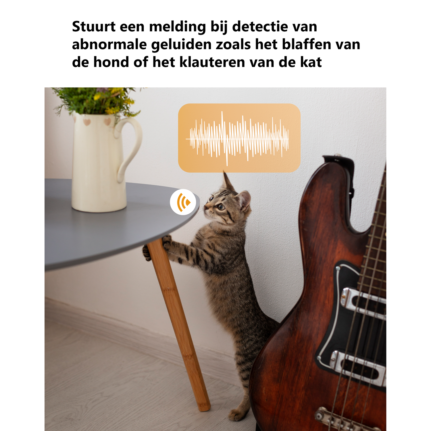 A tabby cat stands by a table next to a brown guitar.
