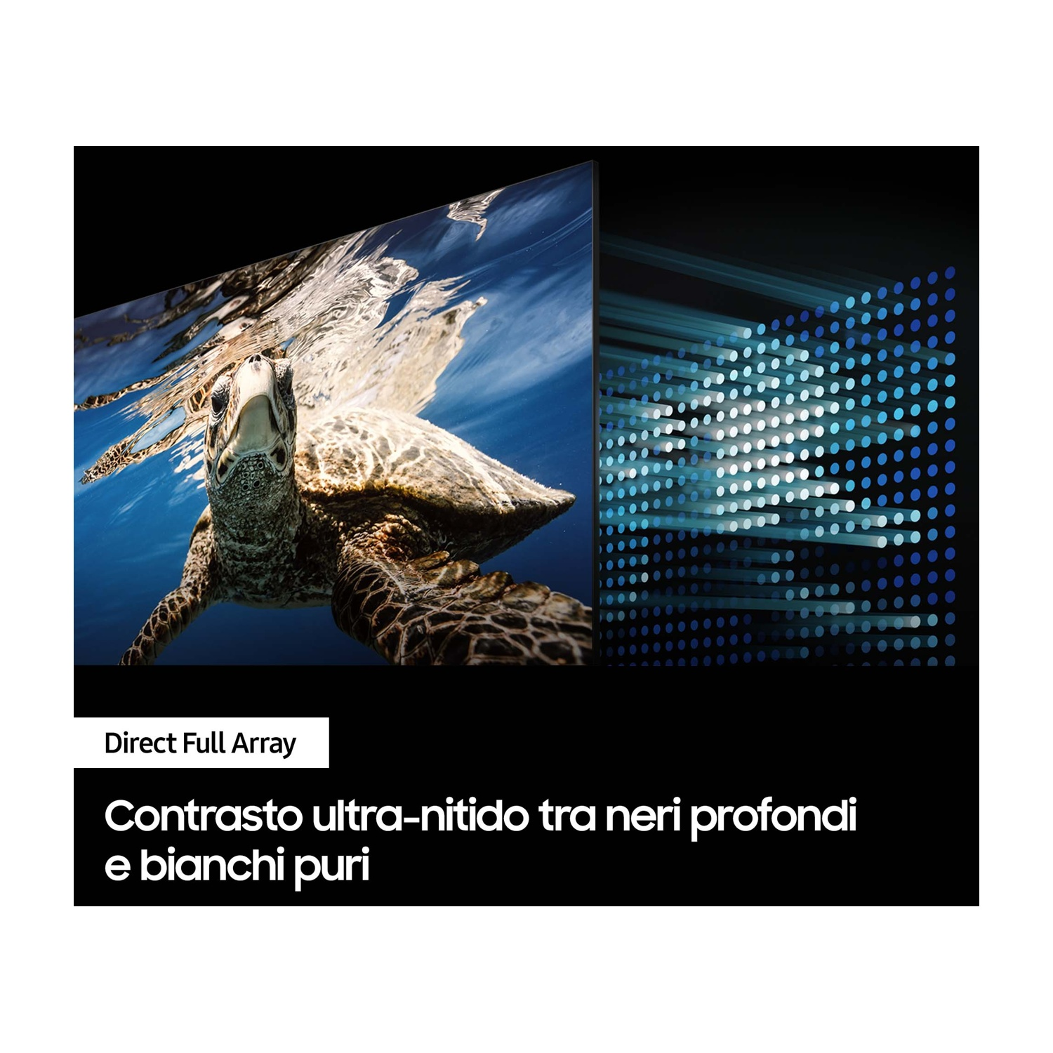 Una TV mostra una tartaruga in acqua blu, accanto a una matrice di punti blu su nero.