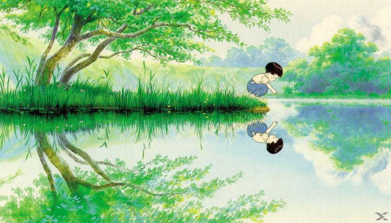 Ein Kind in blauer Hose beugt sich über einen Teich, der sich im Wasser spiegelt. Grüne Bäume und Gras umgeben den Teich.