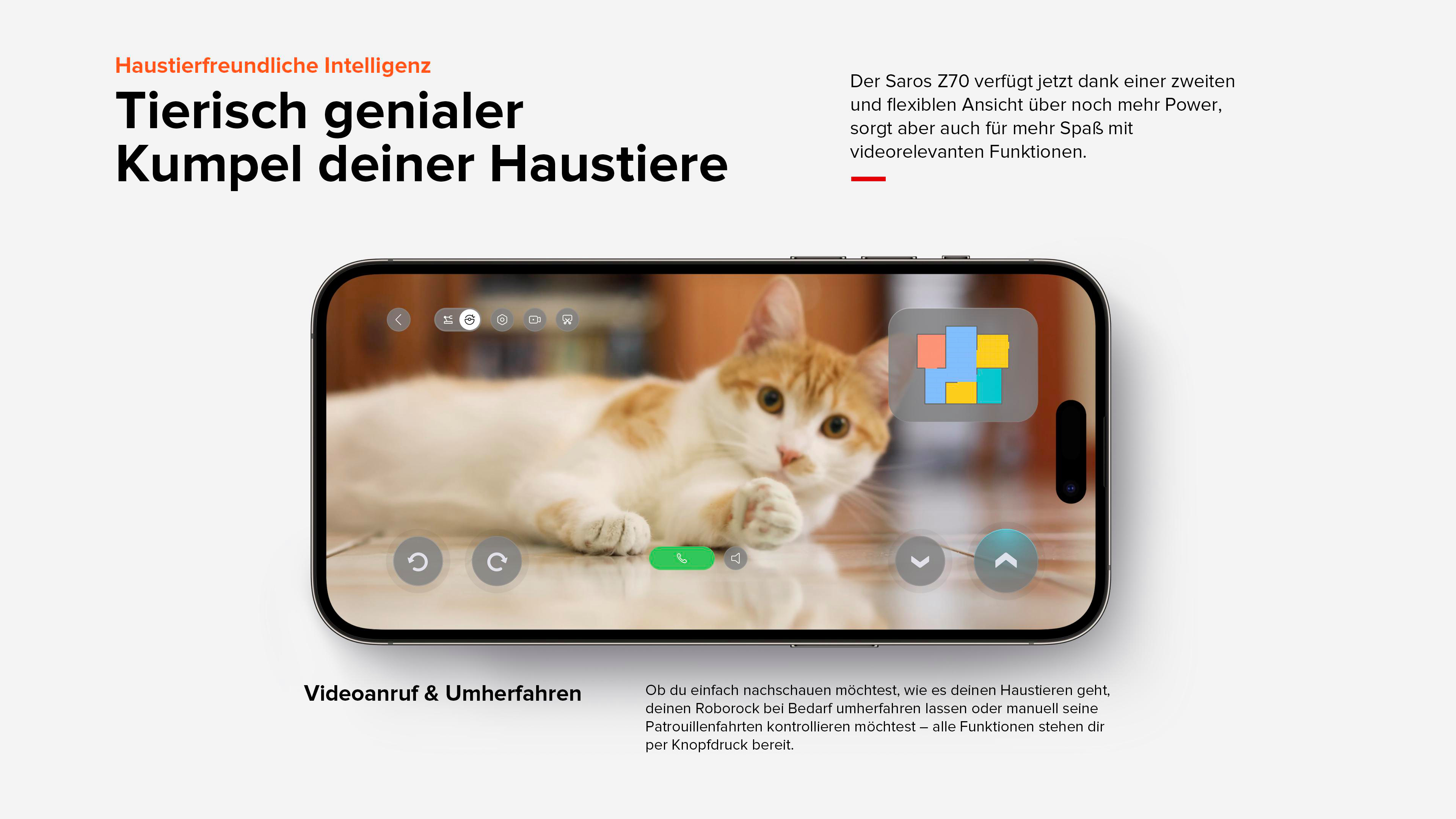 Smartphone-Bildschirm, der eine Katze mit der App-Oberfläche zeigt.