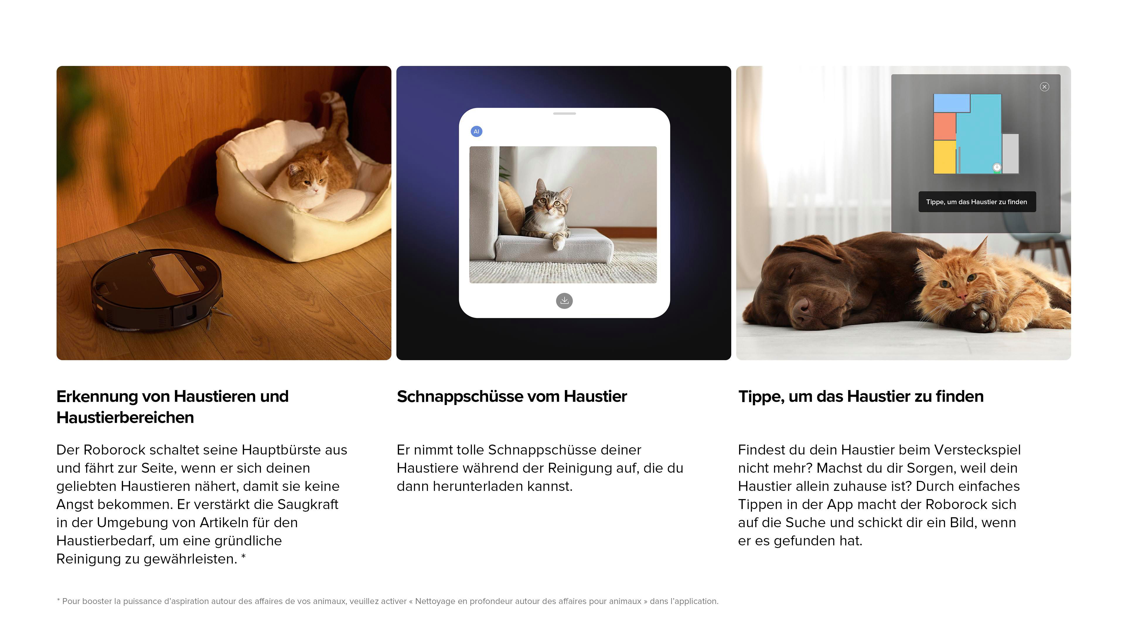 Das Bild zeigt einen Roboter-Staubsauger, eine Katze in einem Bett, ein Handy mit einer Katze und einen Hund und eine Katze auf dem Boden.