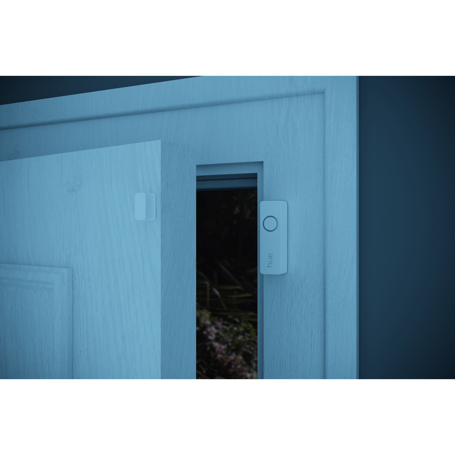 Una porta azzurra con un campanello rettangolare e un piccolo dispositivo quadrato. Uno sfondo scuro rivela uno scorcio di verde.