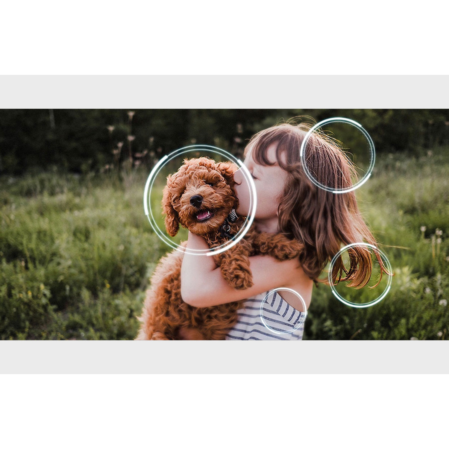 Child hugging dog. Dog is brown. Green grass in background. Circles around dog, hair, and child.